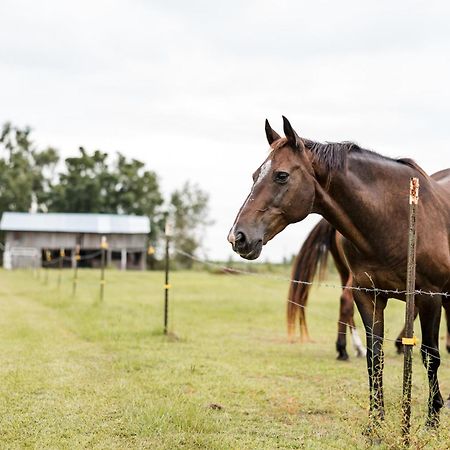 Kokomo Farms ライブ・オーク エクステリア 写真