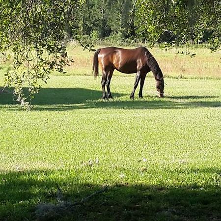 Kokomo Farms ライブ・オーク エクステリア 写真