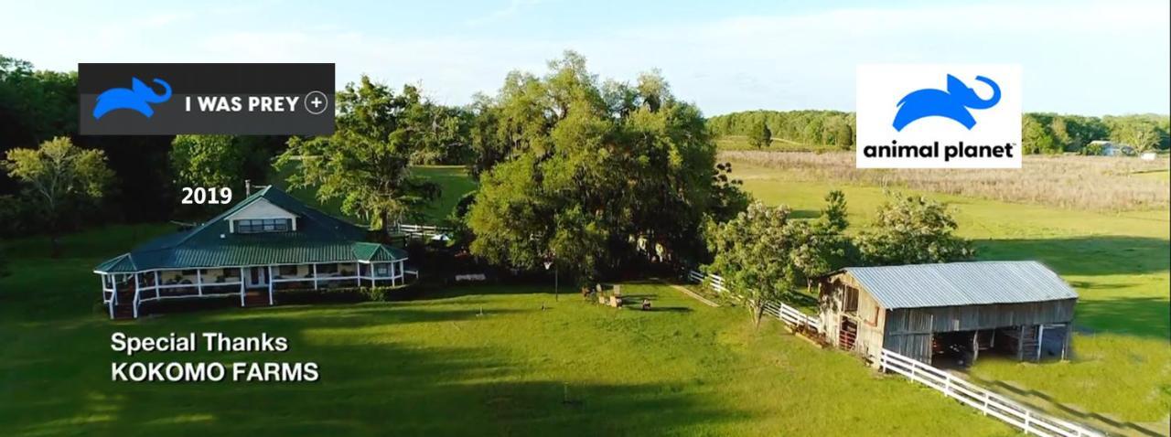 Kokomo Farms ライブ・オーク エクステリア 写真