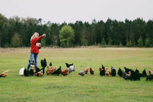 Kokomo Farms ライブ・オーク エクステリア 写真