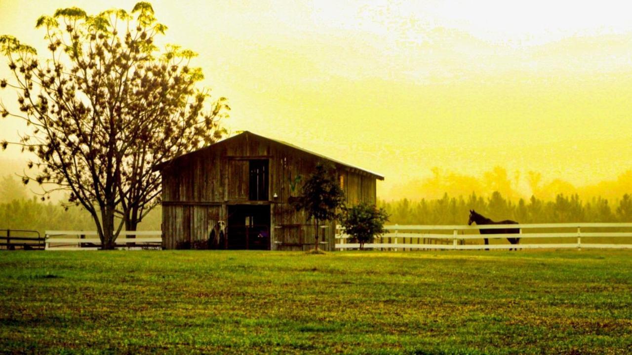 Kokomo Farms ライブ・オーク エクステリア 写真