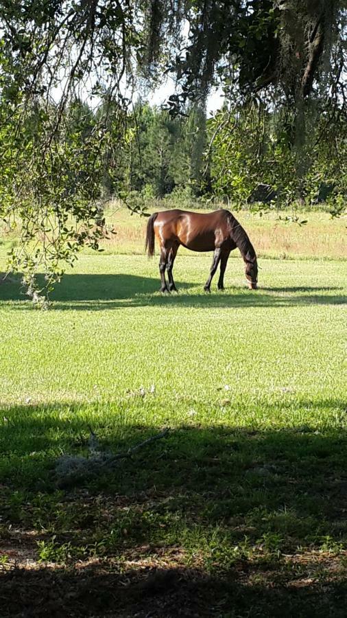 Kokomo Farms ライブ・オーク エクステリア 写真