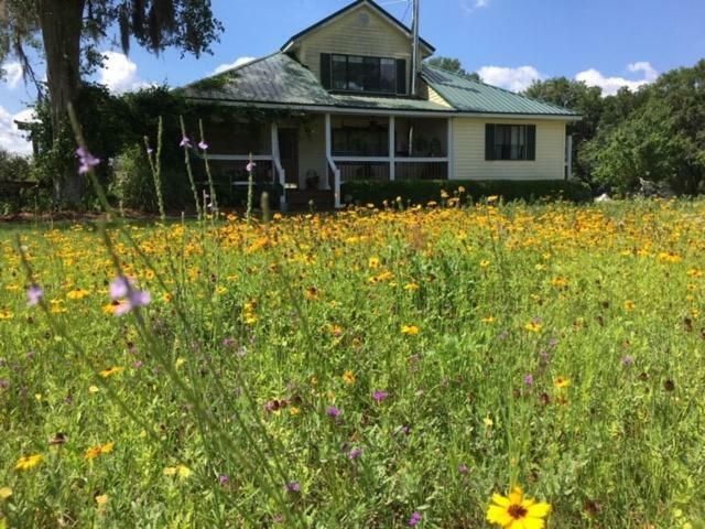 Kokomo Farms ライブ・オーク エクステリア 写真